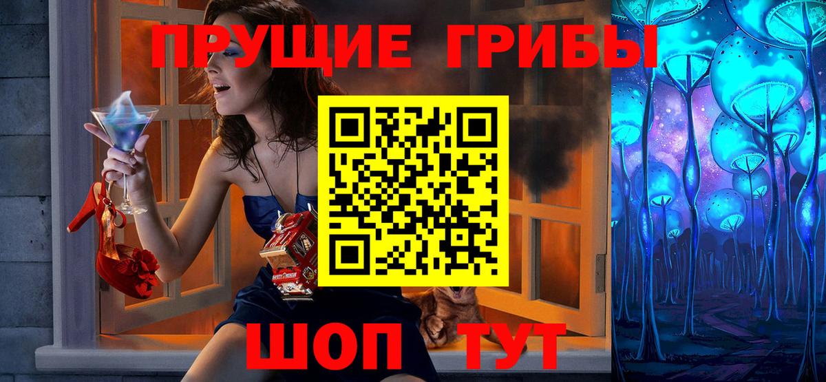 Моршанск  наркотики  Вход с VPN  Псилоцибиновые грибы Cubensis 